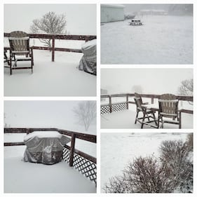 Check out all the photos of Sunday's snow that you sent us via the K99.1FM App. Have a photo or video you want to share? Just send it to us via the K99.1FM App for free.