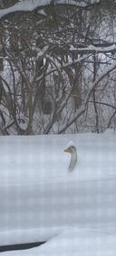 Check out all of the snow photos you sent us on January 25th, 2026.