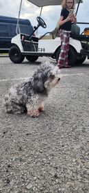 Check out all the adorable photos you sent us of your dogs for National Dog Day!