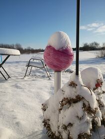 Check out all the photos of the snow you sent us on December 13th and 14th, 2025. Want to see your photo featured? Upload it now inside our app.