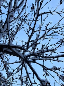 Check out all the photos of the snow you sent us on December 2nd, 2025. Want to see your photo featured? Upload it now inside the K99.1FM App.