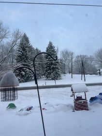 Check out all the photos of the snow you sent us on December 2nd, 2025. Want to see your photo featured? Upload it now inside the K99.1FM App.