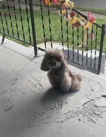 Check out all the adorable photos you sent us of your dogs for National Dog Day!