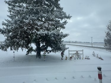 Check out all the photos of the snow you sent us on December 2nd, 2025. Want to see your photo featured? Upload it now inside the K99.1FM App.