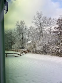 Check out all the photos of the snow you sent us on December 2nd, 2025. Want to see your photo featured? Upload it now inside the K99.1FM App.