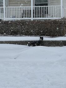 Check out all of the snow photos you sent us on January 25th, 2026.