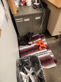 Check out all the adorable photos you sent us of your dogs for National Dog Day!