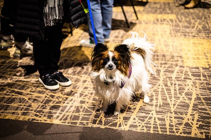 Check out all the photos from K99.1FM's Jingle Jam concert at Miami Valley Gaming on December 10th, 2025.