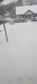 Check out all of the snow photos you sent us on January 25th, 2026.