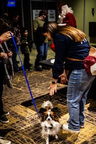 Check out all the photos from K99.1FM's 2025 Jingle Bell Jam concert, which took place at Miami Valley Gaming on December 10th, 2025.