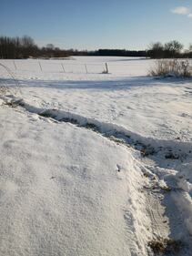 Check out all the photos of the snow you sent us on December 13th and 14th, 2025. Want to see your photo featured? Upload it now inside our app.