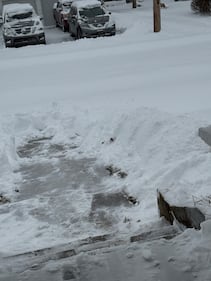 Check out all of the snow photos you sent us on January 25th, 2026.