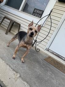 Check out all the adorable photos you sent us of your dogs for National Dog Day!