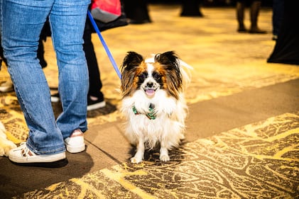 Check out all the photos from K99.1FM's Jingle Jam concert at Miami Valley Gaming on December 10th, 2025.