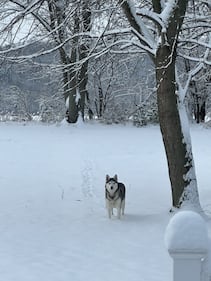 Check out all the photos of the snow you sent us on December 2nd, 2025. Want to see your photo featured? Upload it now inside the K99.1FM App.