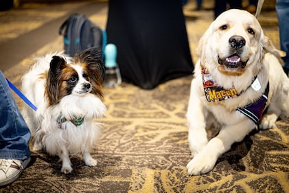 Check out all the photos from K99.1FM's Jingle Jam concert at Miami Valley Gaming on December 10th, 2025.