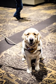 Check out all the photos from K99.1FM's 2025 Jingle Bell Jam concert, which took place at Miami Valley Gaming on December 10th, 2025.