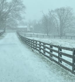 Check out all the photos of the snow you sent us on December 13th and 14th, 2025. Want to see your photo featured? Upload it now inside our app.