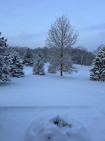 Check out all the photos of the snow you sent us on December 2nd, 2025. Want to see your photo featured? Upload it now inside the K99.1FM App.