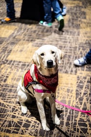 Check out all the photos from K99.1FM's 2025 Jingle Bell Jam concert, which took place at Miami Valley Gaming on December 10th, 2025.