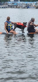 Check out all the adorable photos you sent us of your dogs for National Dog Day!