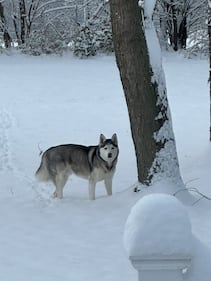 Check out all the photos of the snow you sent us on December 2nd, 2025. Want to see your photo featured? Upload it now inside the K99.1FM App.