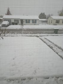 Check out all the photos of the snow you sent us on November 10th, 2025. Want to see your photo featured? Upload it now inside the K99.1FM App.