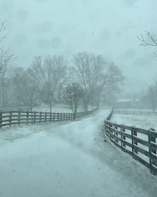 Check out all the photos of the snow you sent us on December 13th and 14th, 2025. Want to see your photo featured? Upload it now inside our app.