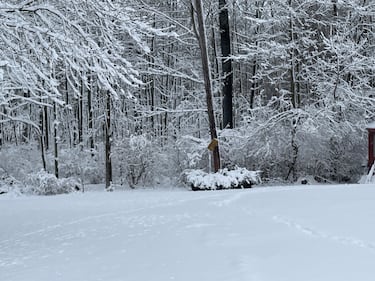 Check out all the photos of Sunday's snow that you sent us via the K99.1FM App. Have a photo or video you want to share? Just send it to us via the K99.1FM App for free.