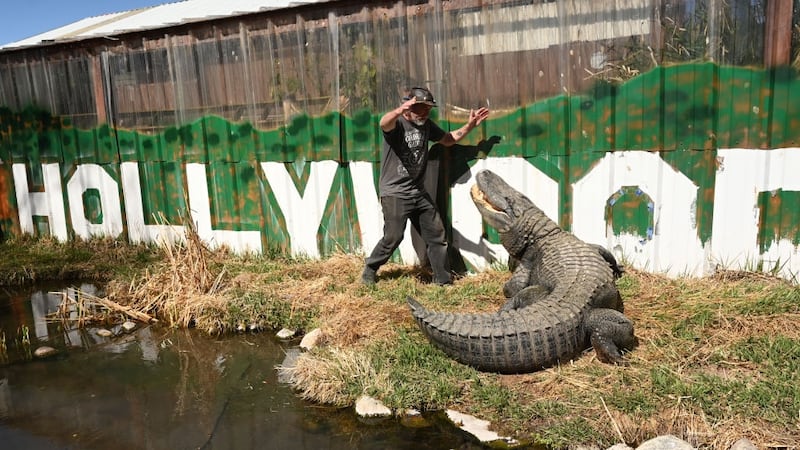 Jay Young and Morris the alligator