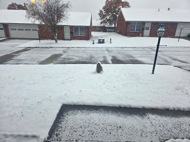 Check out all the photos of the snow you sent us on November 10th, 2025. Want to see your photo featured? Upload it now inside the K99.1FM App.