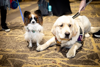 Check out all the photos from K99.1FM's Jingle Jam concert at Miami Valley Gaming on December 10th, 2025.